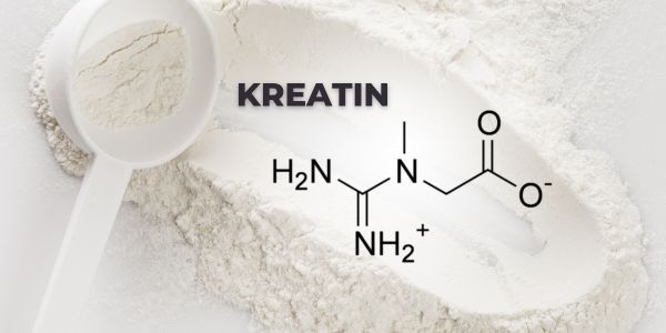 znanost iza kreatina kemijska formula kreatina